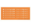 0.35mm厚の極薄材料を使用しているため、細かな文字も大変書きやすくなっています。 ■文字高：5.5/5.0/4.5/4.0/3.5mm ■寸法：縦59×横137×厚0.35mm ■材質：耐衝撃アクリル樹脂（PMMA）　