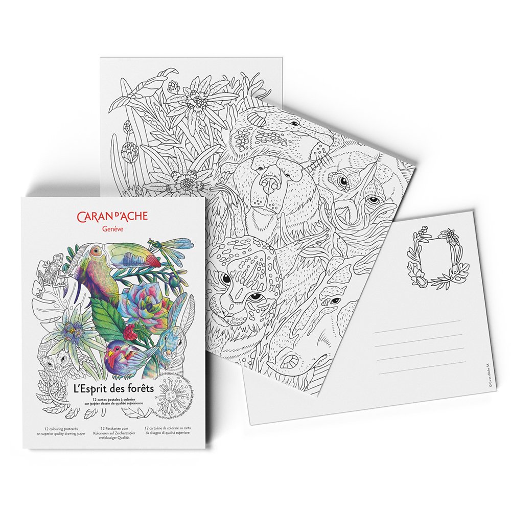 カラン ダッシュ 0454-801 コロリアージュ フォレスト 塗り絵ポストカード 687322
