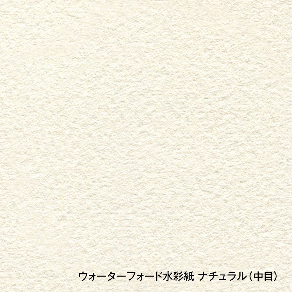 ホルベイン ウォーターフォード水彩紙 ナチュラル 大判 788×1091mm 中厚口 300g 中目 10枚入 261515