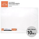 ホルベイン ウォーターフォード水彩紙 ホワイト 中判 560×760mm 中厚口 300g 細目 10枚セット 261617