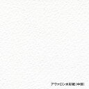ホルベイン アヴァロン水彩紙 平判 中厚口 300g 中目 788×1091mm 10枚入 261715