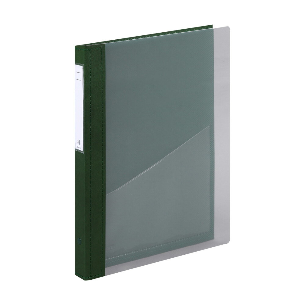 リヒトラブ カルテブック CYCT4-30L スタンダード 厚型 A4 30穴 グリーン HB448-3