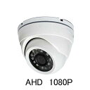 屋外軒下設置対応 4in1 220万画素IRドームカメラ ITC-JK507 (防犯 監視 itcjk507)