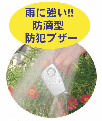 �粻�̤Ǳ��˶���������ũ�����ȥ֥��� �ץ����顼��2��(���ȥ��顼��PAW-20HB)