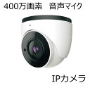 400万画素防水ドーム型IPカメラ IP-WD11 マザーツール 屋外対応 (ipwd11 PoE対応)