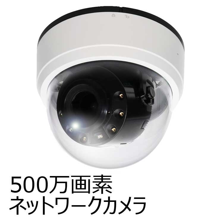 5メガピクセル　屋内IRドーム型ネットワークカメラ　catSC-W5031M　PoE給電対応　（500万画素 赤外線led）
