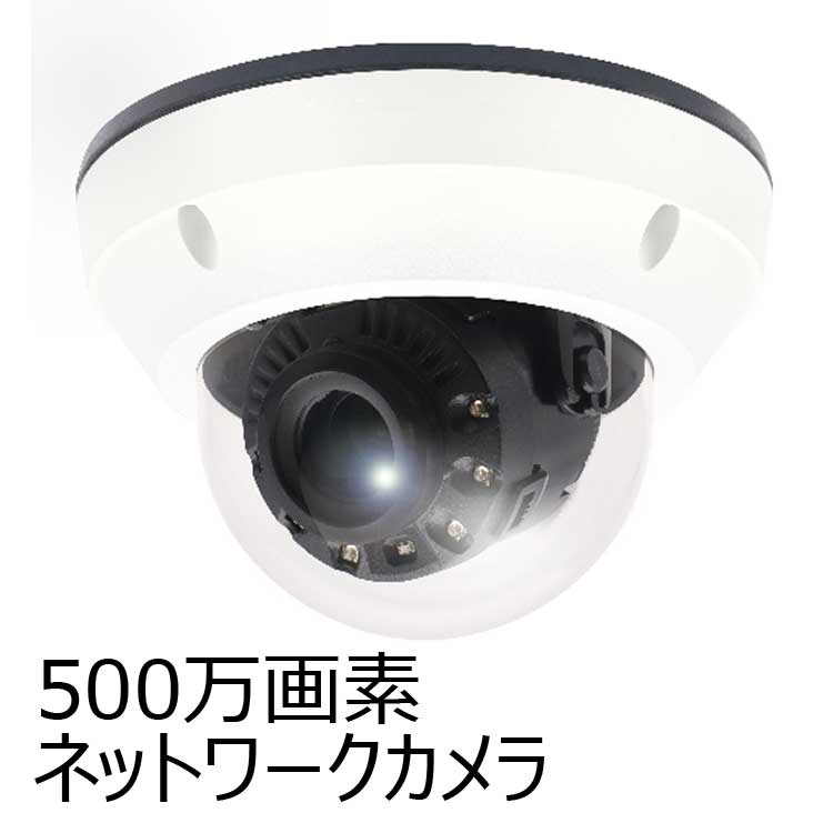 5メガピクセル　屋外IRドーム型ネットワークカメラ　catSC-W5041S　PoE給電対応　（500万画素 赤外線led）