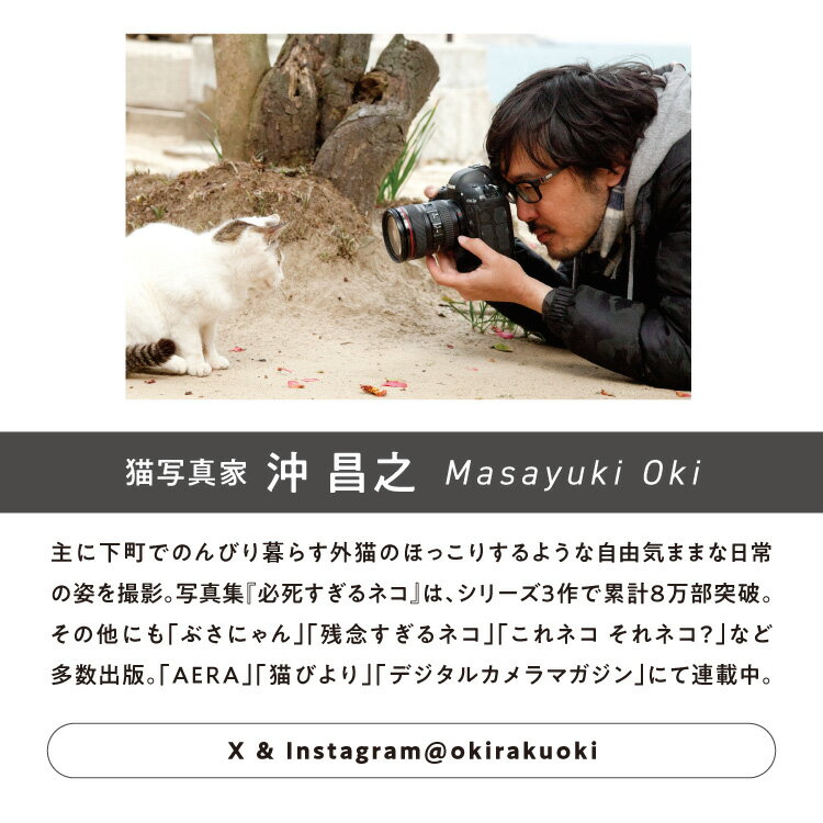 【Wpc.公式】ビニール傘 沖昌之×Wpc. プラスティックアンブレにゃん【長雨傘 長傘 ...