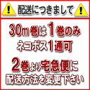 紙バンド（ クラフトバンド クラフトテープ 日本製 ハンドクラフト手芸 ）30-1クラフト 30m　 2