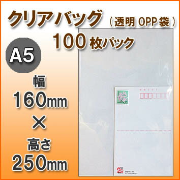 クリアバッグ100（透明OPP袋）160サイズ(A5：160x250mm)100枚パック 2