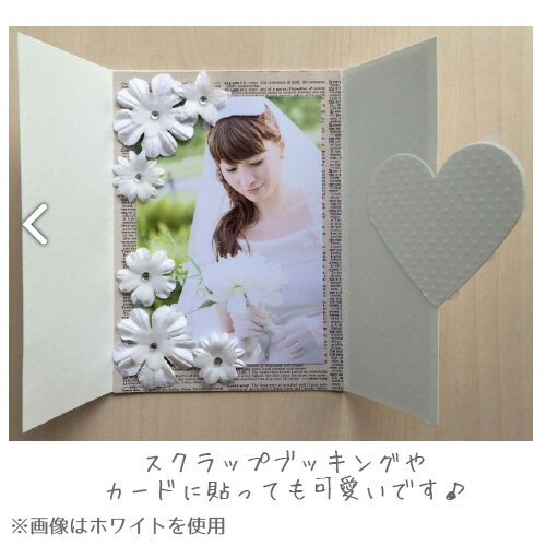 �ֲ� �ե��ѡ��� �ڡ��ѡ�����ƥꥸ���� �ե��ޥ륷�� �ڥ��륢������ �ԥ�