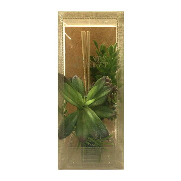 リードディフューザー 元蔵C-Plant シープランツ ディフューザーアガベ レモン&ローズマリーの香り665967