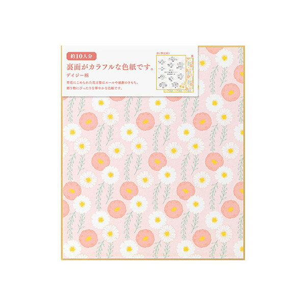 midori ミドリ カラー色紙<S> 裏面 デイジー柄 33238006
