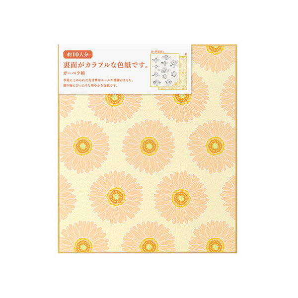midori ミドリ カラー色紙<S> 裏面 ガーベラ柄 33239006