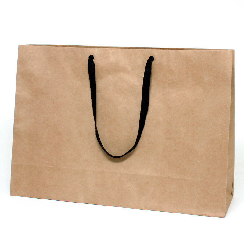 HEIKO 紙袋 手提げ紙袋 ファッションバッグ LLワイド 未晒無地 幅600×マチ180×高420mm 10枚入 ブラウン..