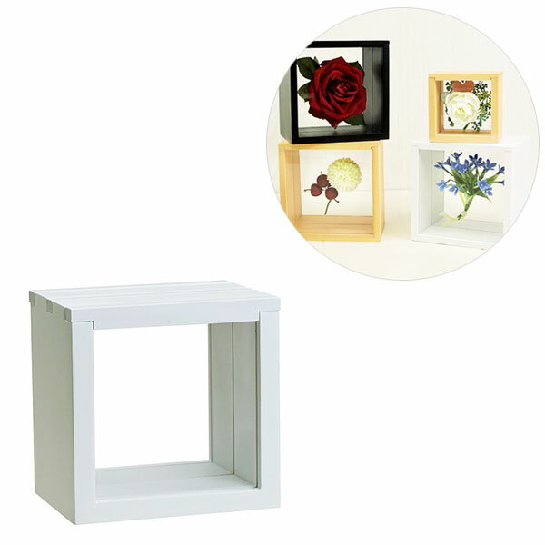 ボックス型フレーム 3スライドBOX フロート10角 106-034 ホワイト