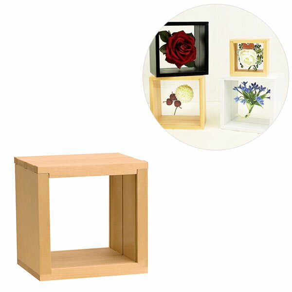 ボックス型フレーム 3スライドBOX フロート10角 106-036 ナチュラル