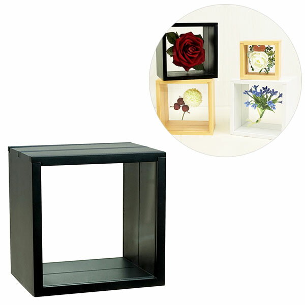 ボックス型フレーム 3スライドBOX フロート15角 106-038 ブラック