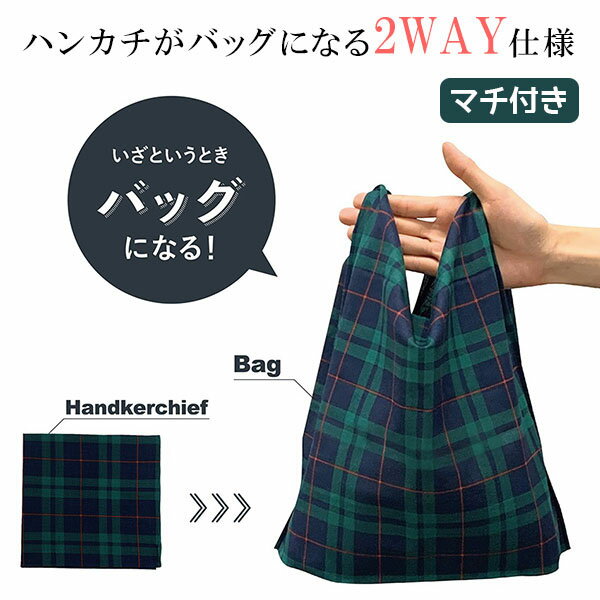 エコバッグ カミオジャパン ハンカチエコバッグ マチ付き ムーミン おえかき 36772