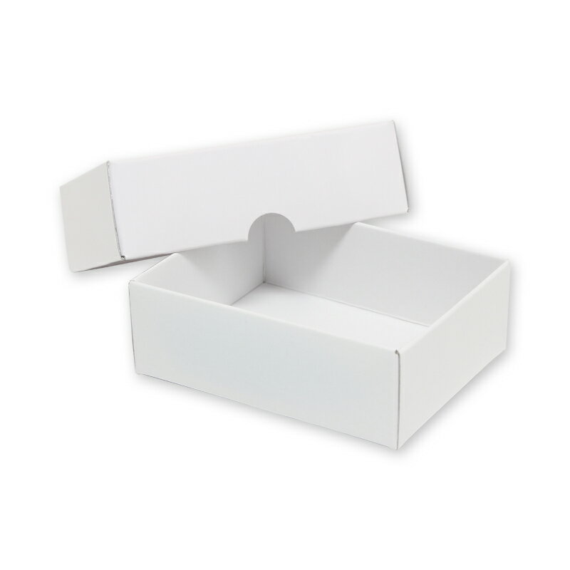 Ȣ ��̵�� HEIKO ���⥸�� �ǥ�å�����̵��Ȣ A-2�ʥ��������꡼L�� ��10������ ��åԥ� ���եȥܥå���