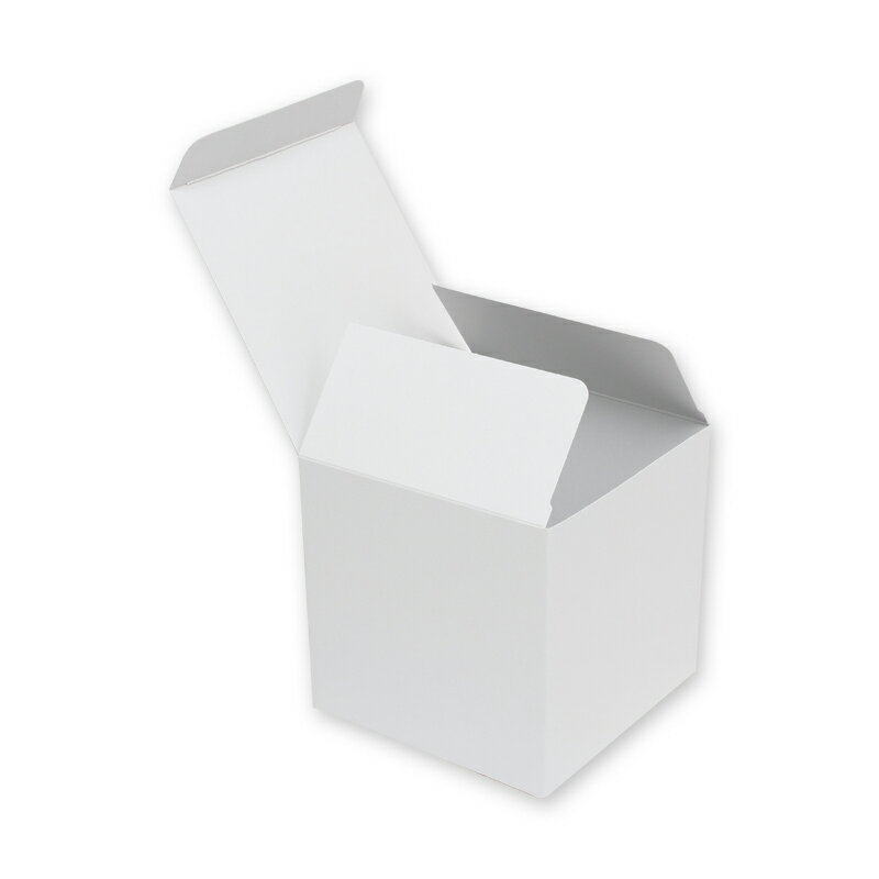 洋品箱 HEIKO シモジマ 白無地BOX H-79 サック ラッピング ギフトボックス