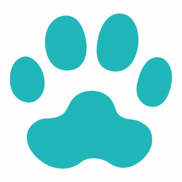 �����饯��ե� CARL ����եȥѥ�� ���⡼�륵���� CP-1N ��������-A