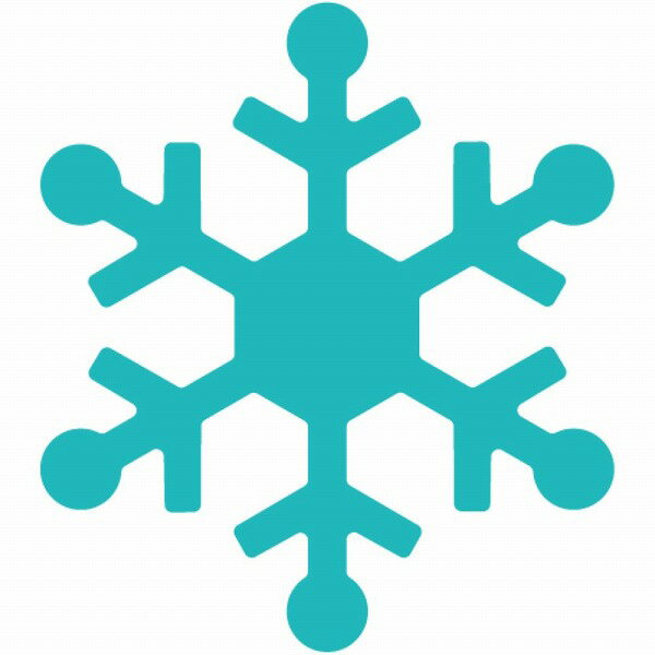 �����饯��ե� CARL ����եȥѥ�� ���⡼�륵���� CP-1N �業C ��C