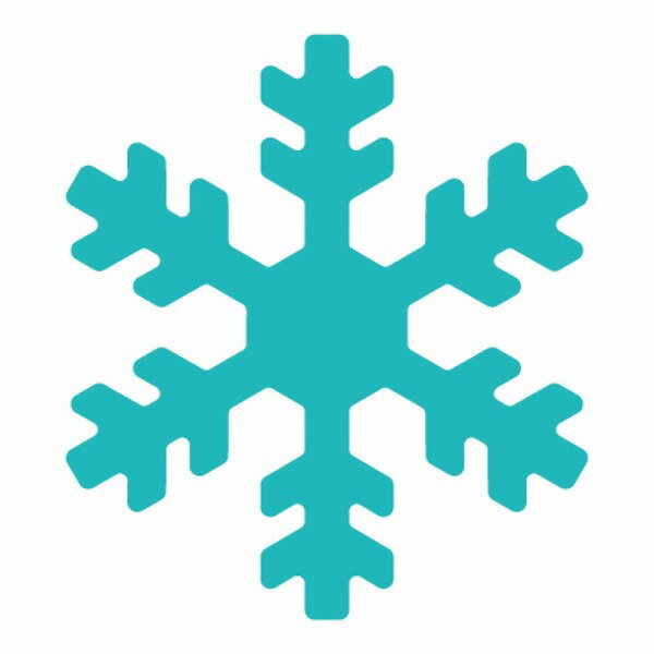 �����饯��ե� CARL ����եȥѥ�� ���⡼�륵���� CP-1N �業-B