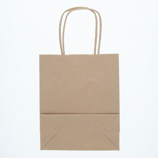 SWAN ���� ���󤲻��� 25���㡼��Хå� 20-1 ̤��̵��CH ��200�ߥޥ�90�߹�240mm 50���� �֥饦�� ��̳�� ��åԥ� ���⥸�ޥ�����003265011