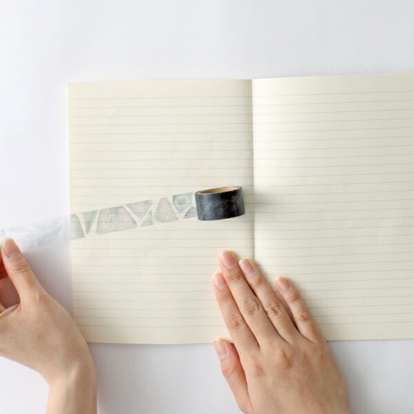 ���ꥢ�ơ��� ���꡼��ե�å��� GreenFlash ������ڤ���Ʃ���ơ��� ���� 20mm��4m CL-020