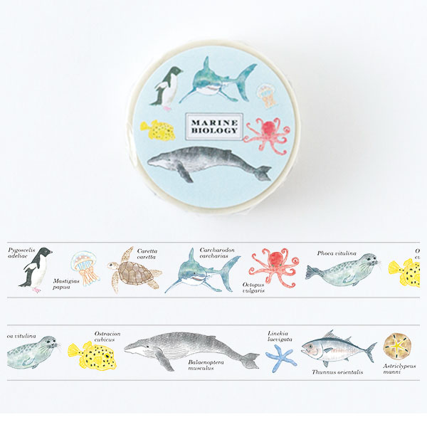 マスキングテープ グリーンフラッシュ GreenFlash STUDY HOLIC (海洋生物学) ST-190 15mm×5m