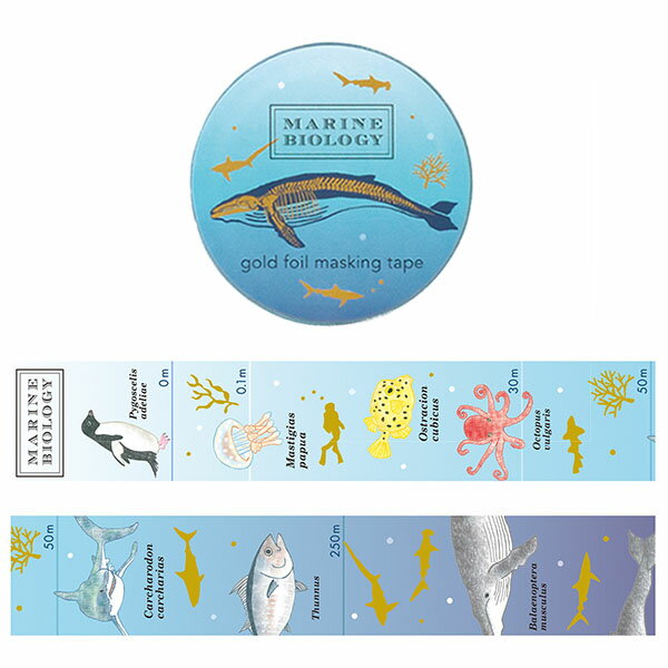 マスキングテープ グリーンフラッシュ GreenFlash STUDY HOLIC 金箔 (海洋生物学) ST-200 20mm×5m