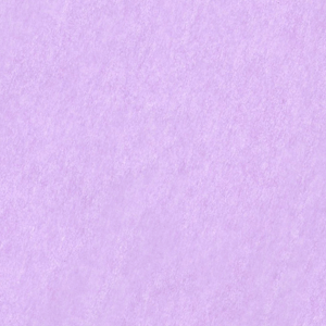 ˾׺ HEIKO ⥸ 顼ջ Ƚ Хå 200