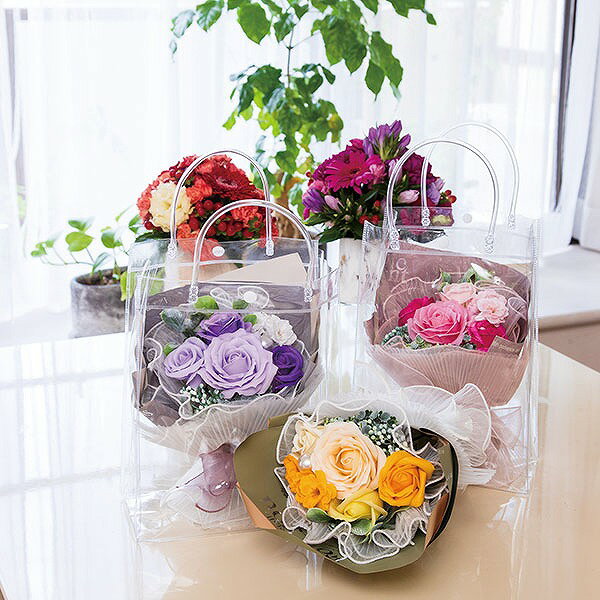 ���ݥ����10�ܡ��ץ쥼��� ���ե� �����ץե� HillTop �ҥ�ȥå� �������֥ߥ˥֡��� �������� SM-056 �Х� �� �и��ե� ����󥸥��� �� ¤�� �Ϥ�ʤ��� ����� ������