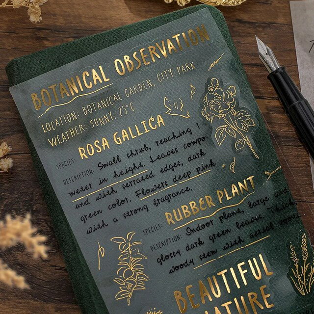 �����ȥ����� �ӡ��������� BGM �ߥå��������ȥ����� �󲡤� ���顼���她�ƥå��� �����å� BS-MS005 2��������