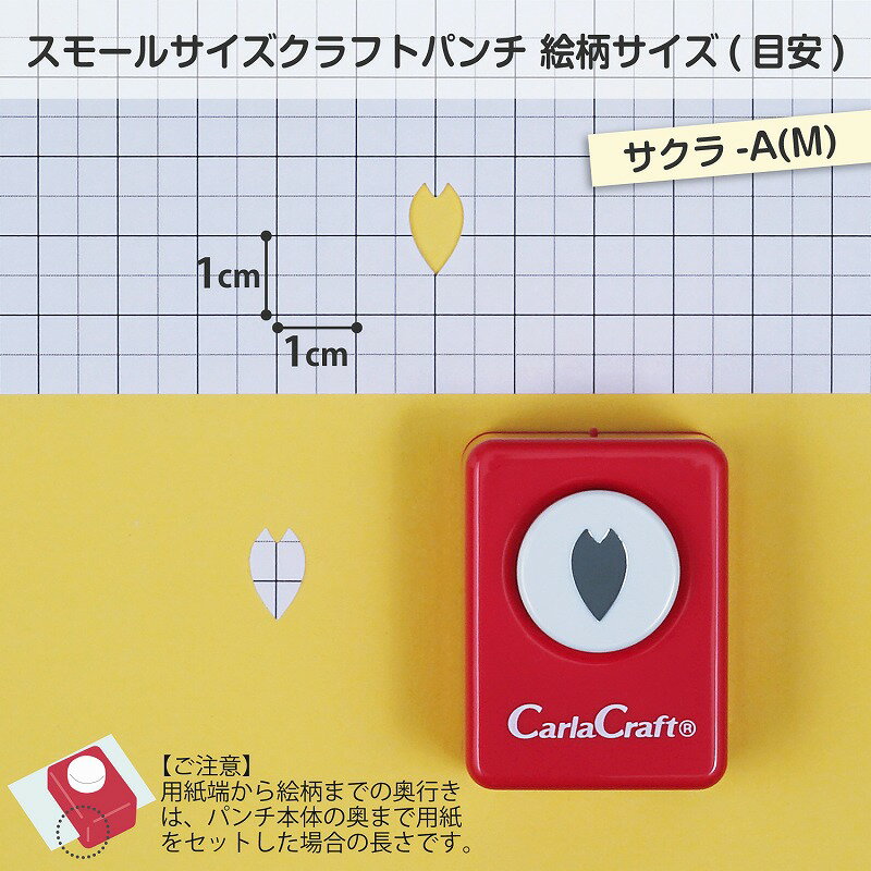 �����饯��ե� CARL ����եȥѥ�� ���⡼�륵���� CP-1 ������A M ��