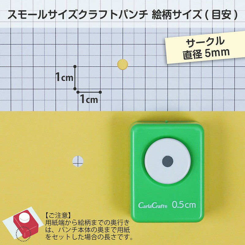 �����饯��ե� CARL ����եȥѥ�� ���⡼�륵���� �������� ľ��0.5cm CN16A05