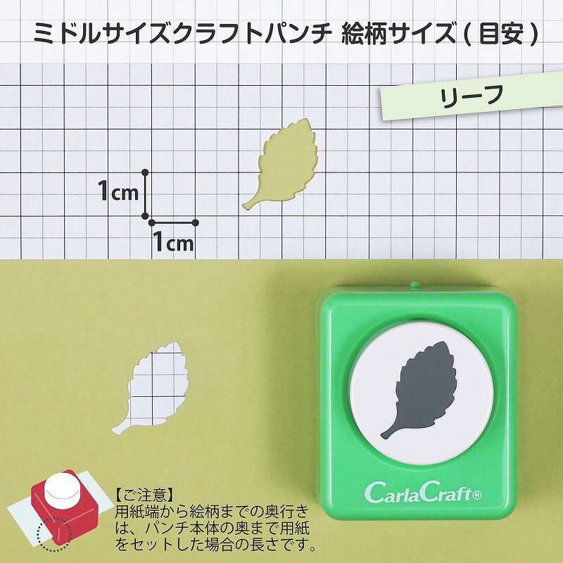 �����饯��ե� CARL ����եȥѥ�� �ߥɥ륵���� CP-2 �꡼��