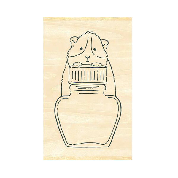 �ڳ�ŷ�����ѡ�����������ò��ۤϤ� �ӥХ꡼ ����������� ���󥯤Τ����ܤ� ����åȤȥ��� TSW−124