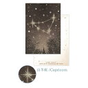 ポストカード クローズピン Clothes-Pin 12星座ラインストーン ポストカード 山羊座 PC16612 やぎ座 Capricorn