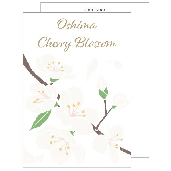 �ڳ�ŷ�����ѡ�����������ò��ۥݥ��ȥ����� ���������ԥ� Clothes-Pin �� ���ǰ��� ����� PC-97046 �ϥ��� �ս�