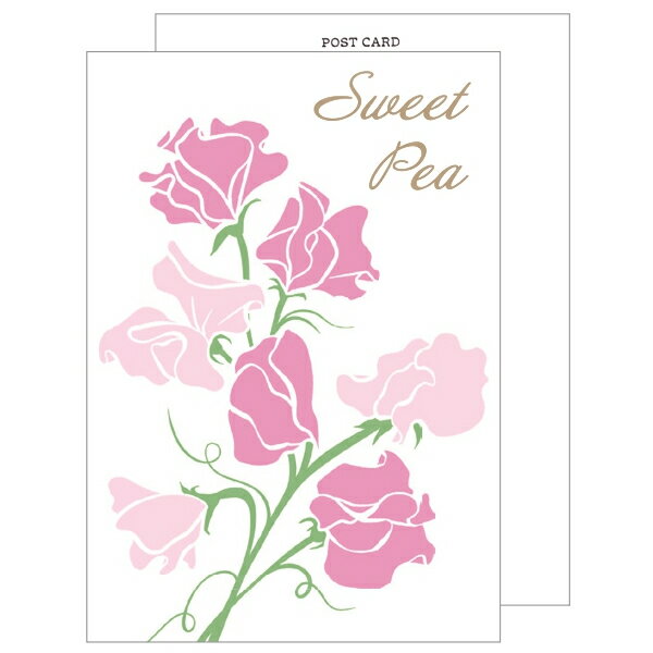 �ڳ�ŷ�����ѡ�����������ò��ۥݥ��ȥ����� ���������ԥ� Clothes-Pin �� ���ǰ��� �������ȥԡ� PC-97051 �ϥ��� �ս�