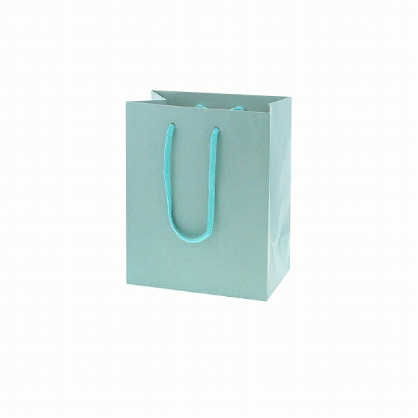 HEIKO 紙袋 手提げ紙袋 カラーチャームバッグ 20-12 ミズ 幅200×マチ120×高250mm 10枚入 業務用 ラッピング シモジマ