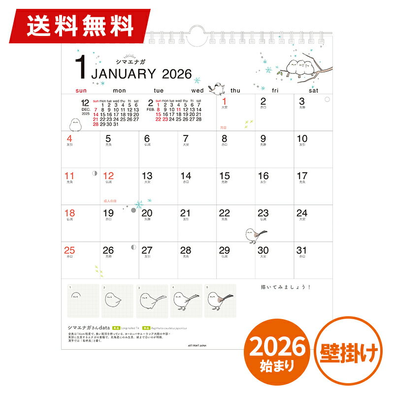 ���ݥ����10�ܡ�����20%OFF������������ �ɳݤ� 2026ǯ�� APJ �����ȥץ��ȥ���ѥ� ���襤���Ȥ��������(30��) 1000136951 ��...