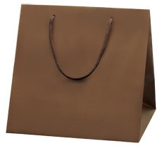 HEIKO 紙袋 手提げ紙袋 ブライトバッグ C0 チョコブラウン(MT) 幅300×マチ280×高300mm 10枚入 焦げ茶 業務用 ラッピング シモジマコ...