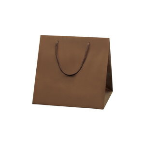 HEIKO 紙袋 手提げ紙袋 ブライトバッグ C1 チョコブラウン(MT) 幅280×マチ250×高280mm 10枚入 焦げ茶 業務用 ラッピング シモジマコ...