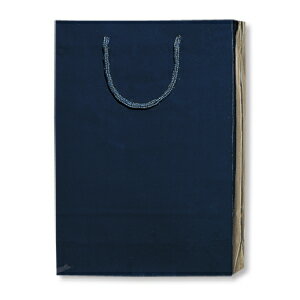 紙袋 プレゼント用 光沢 A4対応サイズ 手提げ HEIKO シモジマ ブライトバッグ SWT 紫紺（シコン）（10枚入） ラッピング