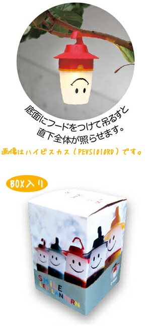 【クーポン配布中】SPICE スパイススマイルLEDランタン ピーチ PEVS1010PK通販格安セール情報 楽天 通販