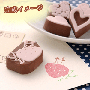 消しゴムはんこ SEED ほるナビ ハガキサイズ KH-HN13 ピンクxブラウン