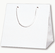 紙袋 プレゼント用 光沢 手提げ HEIKO シモジマ ブライトバッグ C-2 白(ホワイト)(10枚入) マチ広タイプ ラッピング